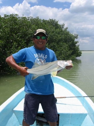 Pesca en manglaternera
